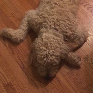 Meet your Posher, Agnes